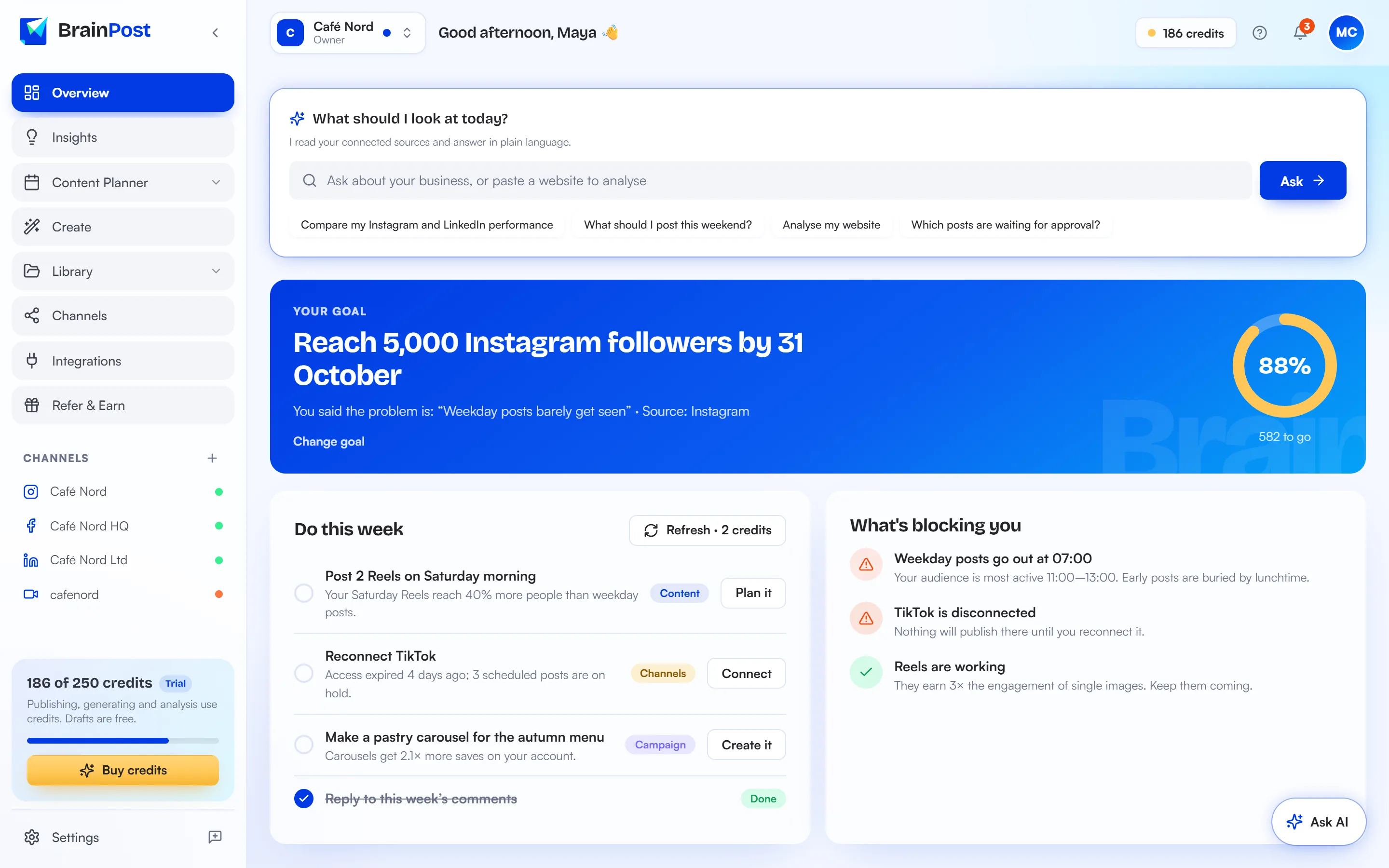 BrainPost overview dashboard